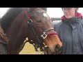 Click here to watch this video Gypsy