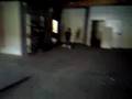 videos de royal xsjado