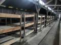 videos de Auschwitz