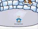 My Hat