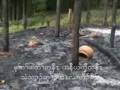 videos de questionanswer.wmv