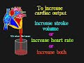 GCSE PE 1c Circulatory and Respiratory Systems