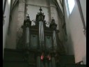 andr� isoir � nemours-live concert (b)