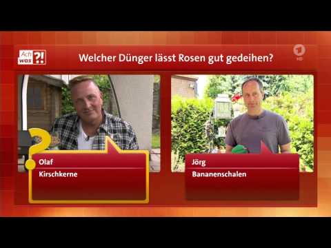 ARD Buffet ach was !  Rosendünger