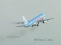 Bird + Airplane = Danger