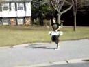 crazt skatbordy crazt skatbordy