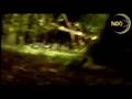 videos de Snares - Silent killer in the countryside