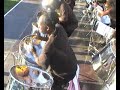 Metronomes Steel