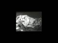 Telegoons-Clip-3