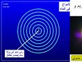 مالحكمة من تحريم أكل لحم الخنزير؟