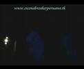 E.B.P DTC - vida valiosa