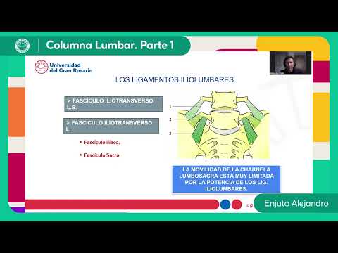 Columna Lumbar  Parte 1 - Lic. Enjuto Alejandro