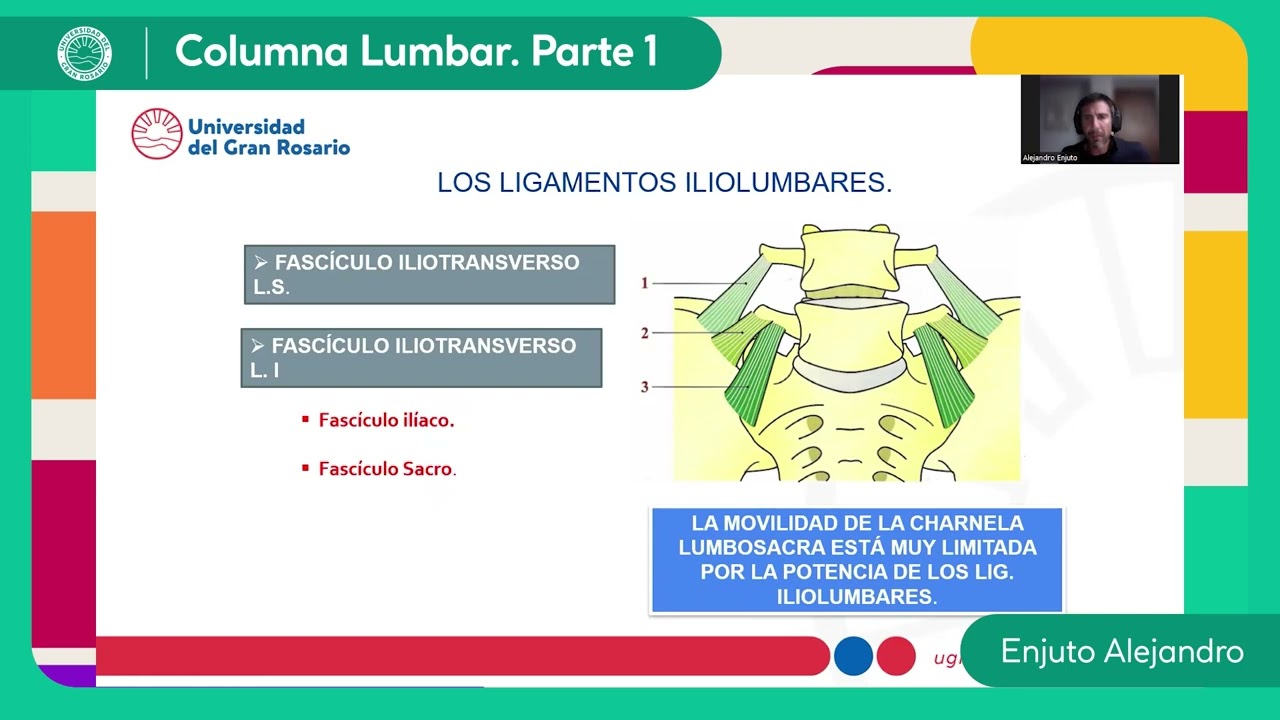 Columna Lumbar  Parte 1 - Lic. Enjuto Alejandro