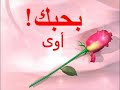 اوعدنى مى سليم