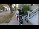 WORLD TALLEST DOG AND SMALLEST DOG
