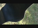 the 