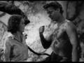 tarzan_segment