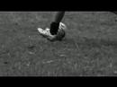 futbol domingo