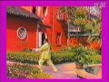 Wudang TaiYi WuXing Qin Pu Quan