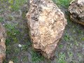 Der-Steinmetz.de - Findling Der-Steinmetz.de - Findling
