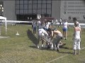 eight-crashes.html