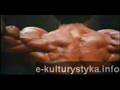 Arnold-Tribute