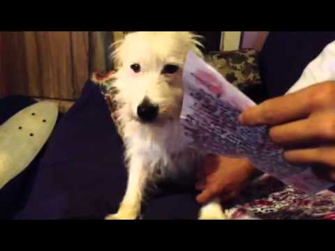 Beau gets threat. Lala reads fan mail