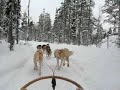 Husky safari in Lapland Husky safari in Lapland