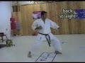 videos de Empi kata shotokan karate Martin Silva part II