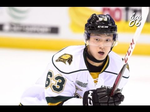 Cliff Pu 2015-2016 OHL Highlights