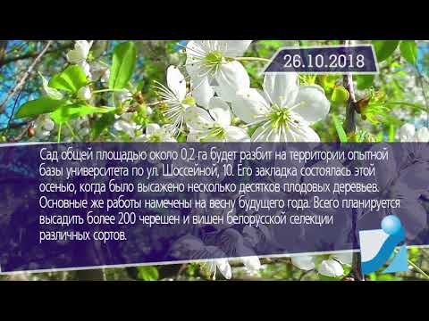 Новостная лента Телеканала Интекс 26.10.18.