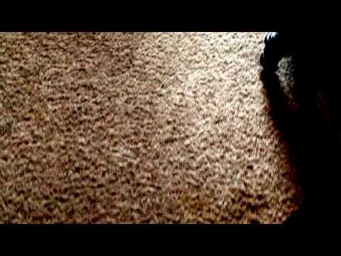 how to unlock a door with a bobby pin