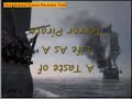 taster of life
as a terror
pirate