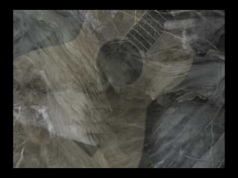 tim nelson: xylem