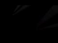 Ranjeet 3d Logo In 3d Max.flv