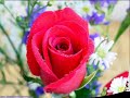 ahiska
