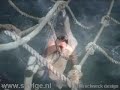 Real Sailing - (5) Swimming + Sk�lsk�r