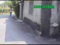 利澤2007春季路跑—馬拉松硬漢