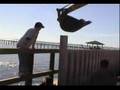 Alabama - Everlast seawalls -water jet and impact driven (www.everlastseawalls.com)
