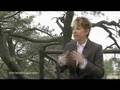 Christel Nani, RN Medical Intuitive