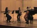 Carla Marrero.Shubert Strings Trio