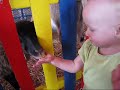 Evie Feeds Goats