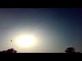 R/C F-16 being chased by... View Video