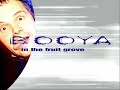 Booya (In the fruit grove)-radio mix