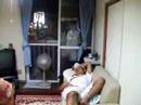 Feriado...Morsa Nip�nica!