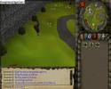 the rs items i like on my account the rs items i like on my account
