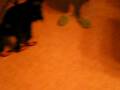 videos de Pies w butach2.AVI