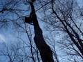 videos de Leap of faith.