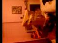 videos de transformer wannabee's