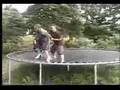SeMo T.V. Championship, gchild vs. jdawg (c) part 1 of 3